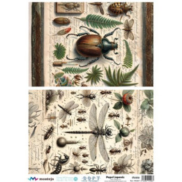 copy of 